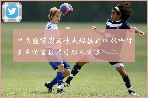 申京盛赞谢泼德表现接近四双呼吁多争抢篮板提升球队实力