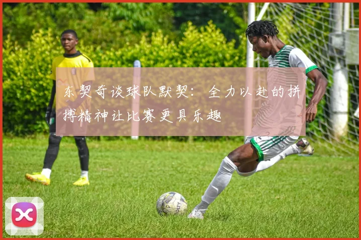 东契奇谈球队默契：全力以赴的拼搏精神让比赛更具乐趣