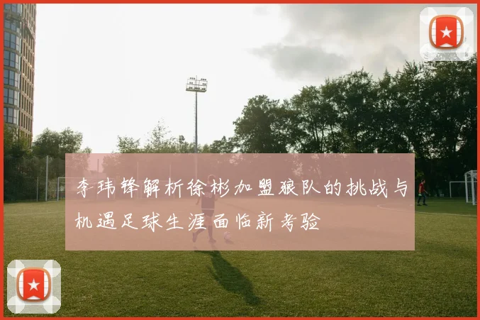 李玮锋解析徐彬加盟狼队的挑战与机遇足球生涯面临新考验